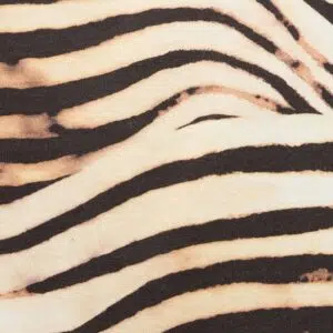 Just Cavalli T-Shirt mit Dschungel- und Monogramm-Print 12 UFT042-UF062-E0534 UFT042UF062E0534 ECOM MACRO