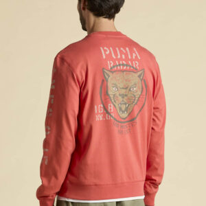 Aeronautica Militare Sweatshirt mit Prints und Stickereien 8 261FE2099UJ00725 aeronauticamilitare 261fe2099uj00725 57620 crew neck sweatshirt with prints 2