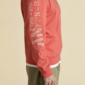 Aeronautica Militare Sweatshirt mit Prints und Stickereien 13 261FE2099UJ00725 aeronauticamilitare 261fe2099uj00725 57620 crew neck sweatshirt with prints 7